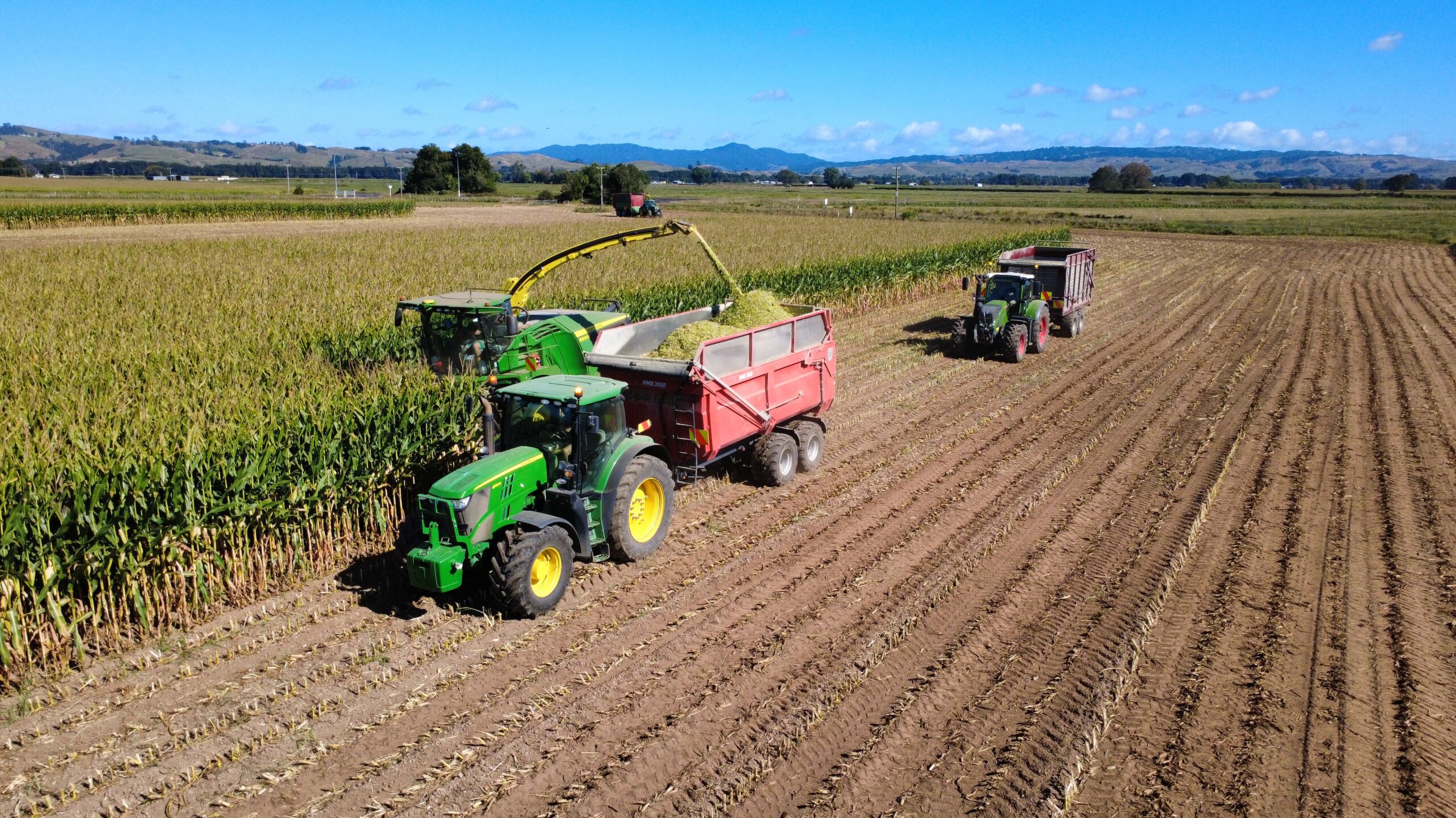 Maize silage harvest
